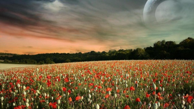 使用J***a开发简单CAD软件？